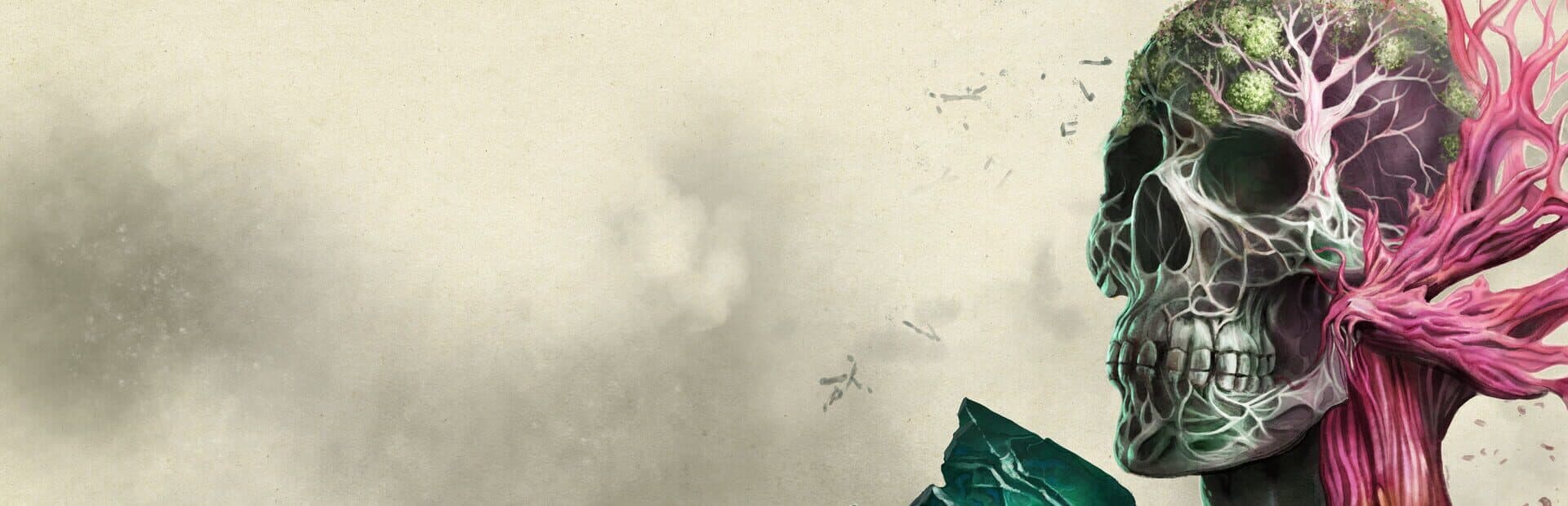 Avowed : Obsidian livre-t-il le RPG qu'on attendait ou une énième promesse en carton ?
